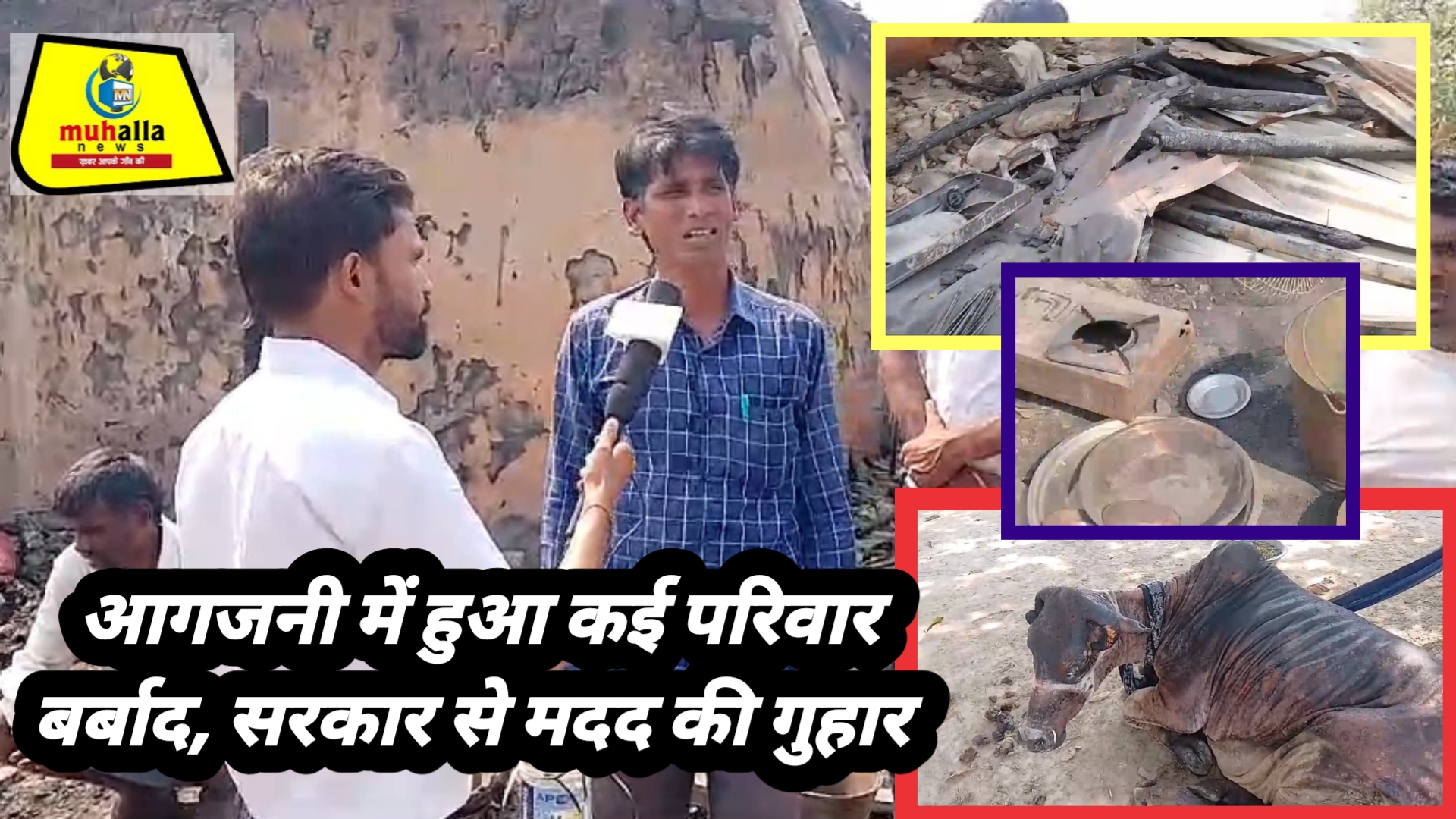 आजमगढ़ के केदारपुर आगजनी में पीड़ितों ने लगाई सरकार से मदद की गुहार, मवेशियों का इलाज जारी